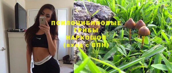 дживик Заводоуковск