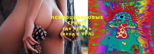 Альфа ПВП Зеленокумск