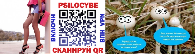 Купить где  Красноармейск  Галлюциногенные грибы Magic Shrooms 